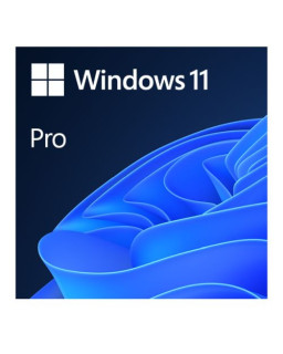 Microsoft Windows 11 Professional 64-bit, OEM DVD, Single Copy