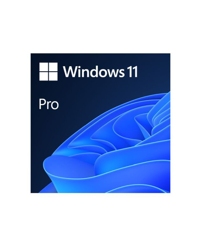 Microsoft Windows 11 Professional 64-bit, OEM DVD, Single Copy