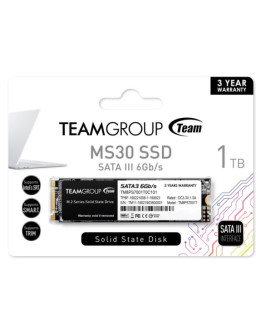 Team 1TB MS30 M.2 SATA SSD, M.2 2280, SATA3, R/W 530/480 MB/s