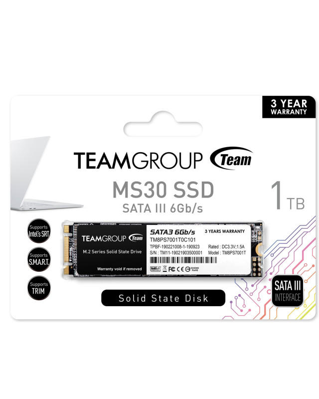 Team 1TB MS30 M.2 SATA SSD, M.2 2280, SATA3, R/W 530/480 MB/s