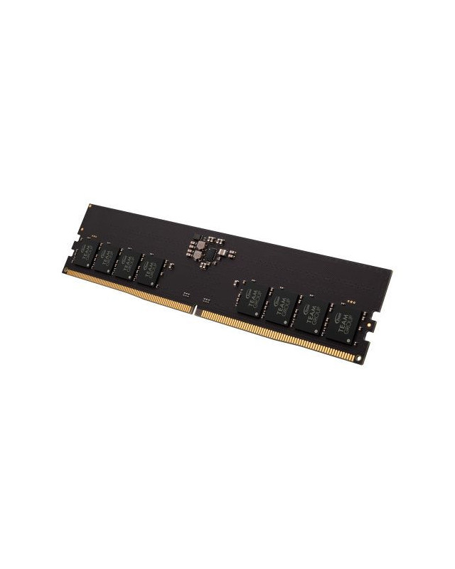 Team Elite 16GB, DDR5, 5200MHz (PC5-41600), CL42, 1.1V, ECC, PMIC, DIMM Memory