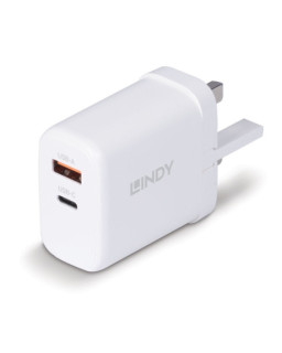LINDY 73429 65W USB Type A & C GaN Charger UK Plug
