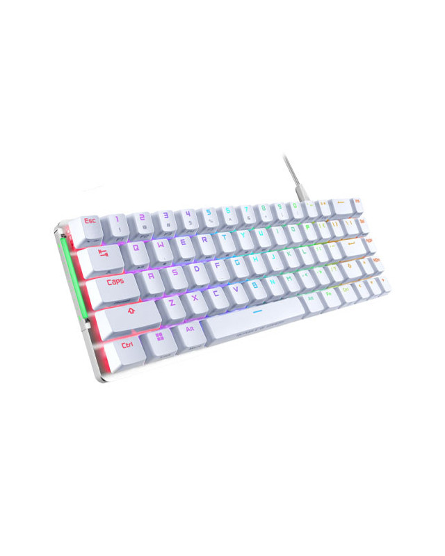 Asus ROG FALCHION ACE Compact 65% Mechanical RGB Gaming Keyboard, Wired (Dual USB-C), ROG NX Red Switches, Per-key RGB Lighting, Touch Panel, White Edition