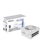 Gigabyte AORUS ELITE ICE 850W White PSU - Fully Modular, 80 PLUS Platinum, ATX 3.1, PCIe 5.0 Ready, 12VHPWR, Silent 120mm FDB Fa